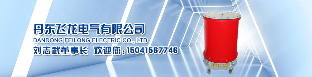 丹東飛龍電氣有限公司